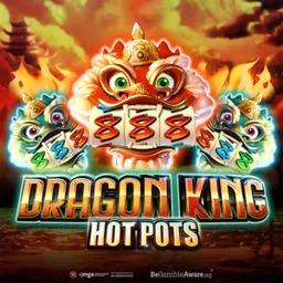 Dragon King Hot Pots